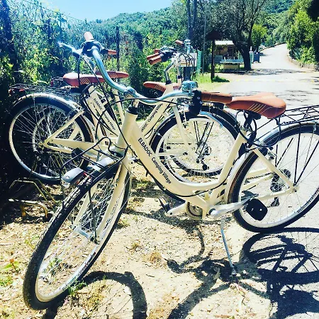 Campsite Elbadoc Village Cavo