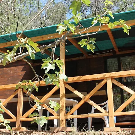 Elbadoc Village *