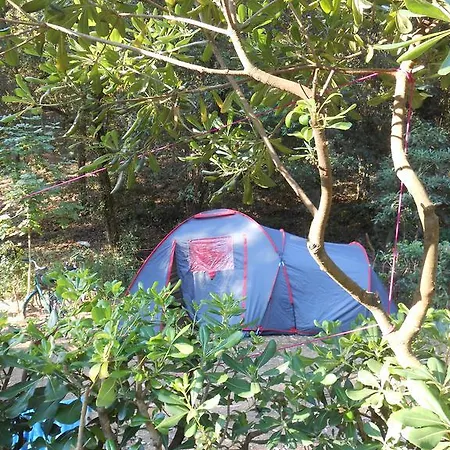 Campsite Elbadoc Village Cavo