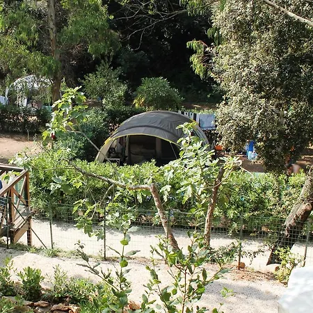 Elbadoc Village 营地