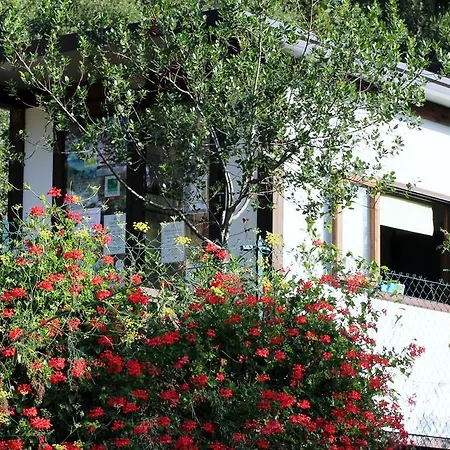 Elbadoc Village אתר קמפינג *